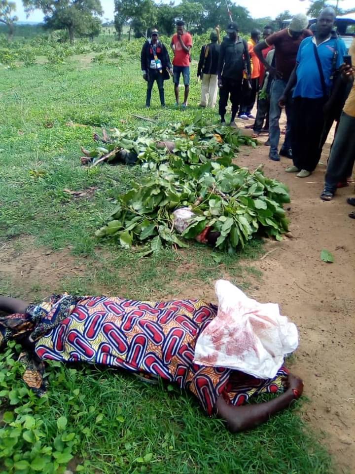 Suspected Fulani Herdsmen Invade Southern Kaduna Community, Hack Women, Children To Death (Graphic Photos)