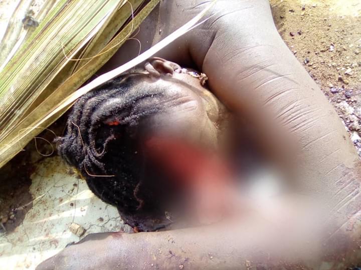 Suspected Fulani Herdsmen Invade Southern Kaduna Community, Hack Women, Children To Death (Graphic Photos)