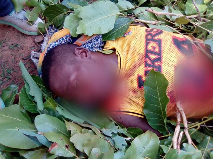 Suspected Fulani Herdsmen Invade Southern Kaduna Community, Hack Women, Children To Death (Graphic Photos)