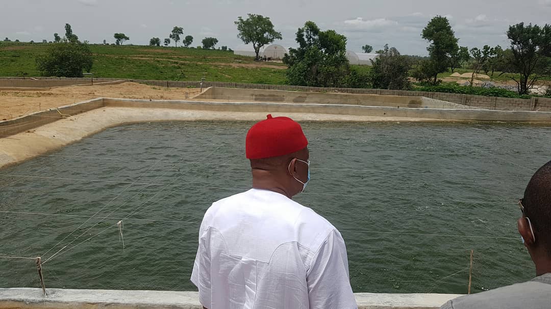 Sen. Orji Kalu To Build Mega Fish Farms In Anambra, Enugu (PHOTOS)