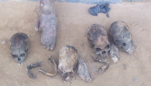 55-Year-Old Man Arrested With 4 Human Skulls, Other Body Parts In Ogun