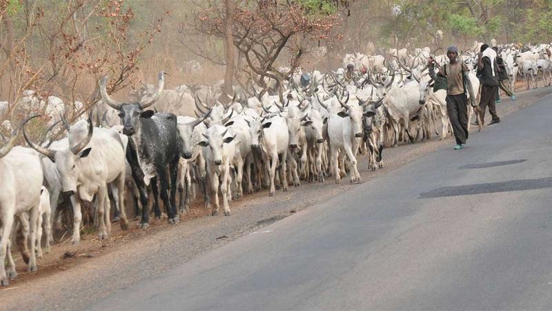 Benue Security Council Issues Herdsmen 2 Weeks Ultimatum Over Attack