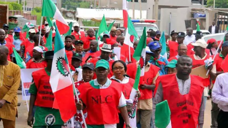 NLC Carpets World Bank For Advising FG To Sell Petrol N700 Per Litre