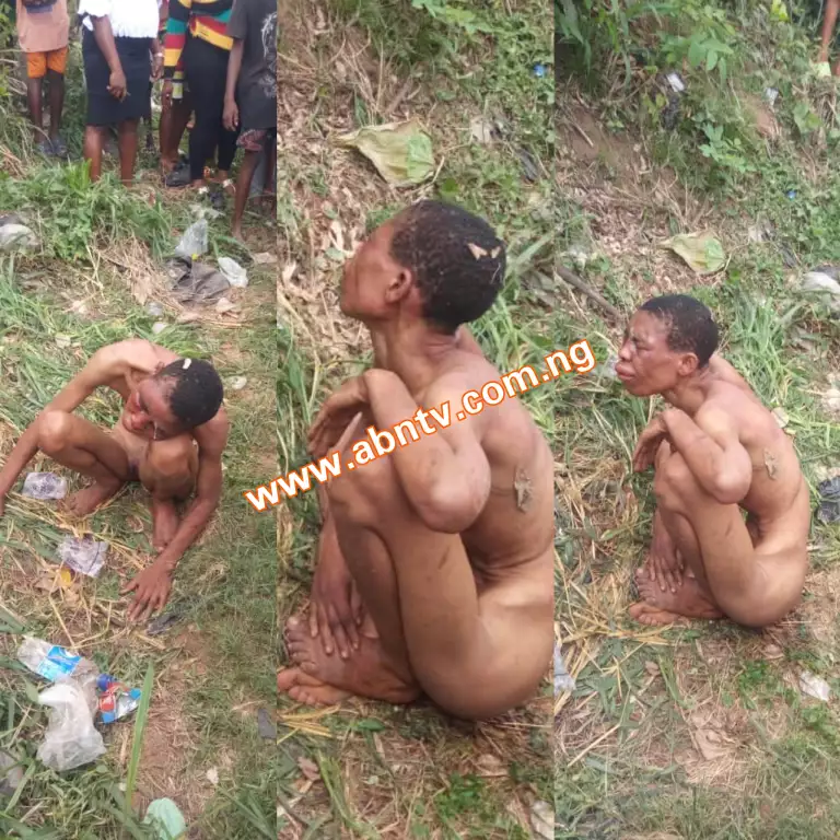 Fear Grips Umuahia Residents As Bird Turns To Old Woman (Photos)