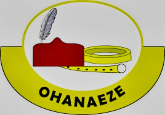 Sit-At-Home: Ohanaeze Backs Gov. Peter Mbah