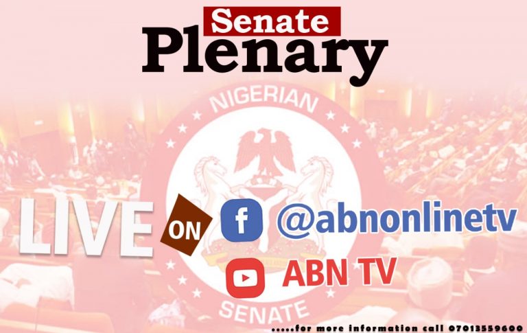 LIVE: Nigerian Senate Plenary, 9th February 2022