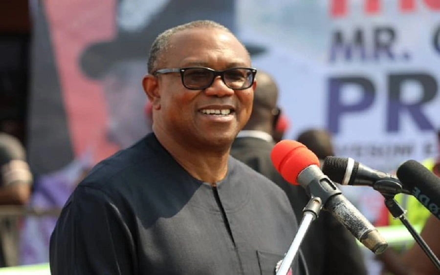 Nigeria Must Live Within Its Means - Peter Obi