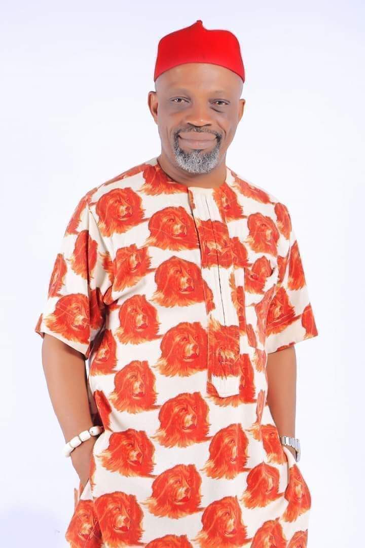 Prof. ACB Agbazuere Resigns As Abia Gets New Chief Of Staff