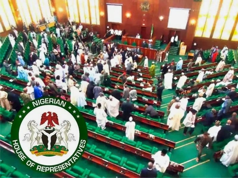 Insecurity: National Assembly’s Resolutions No Longer Effective, Deputy Speaker Decries