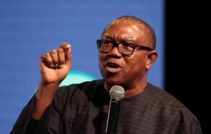 We Must Salvage Nigeria Or Perish, Peter Obi Warns