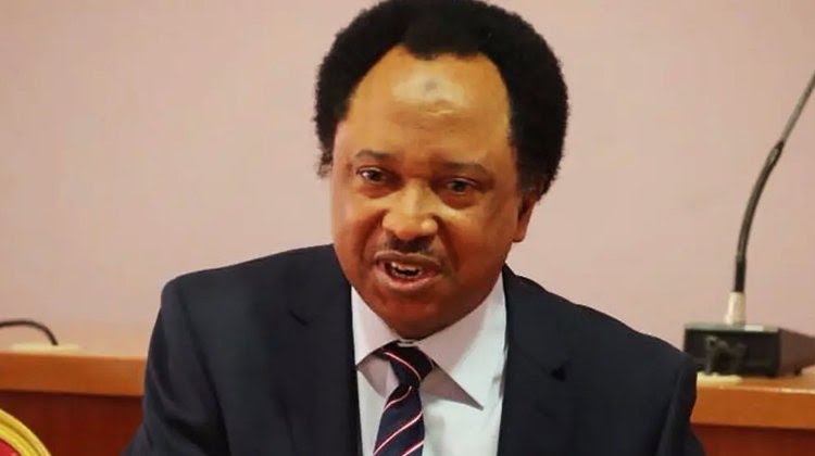 Spirits Of Murdered EndSARS Protesters, Members Of Islamic Movement Will Continue To Haunt Nigeria – Shehu Sani