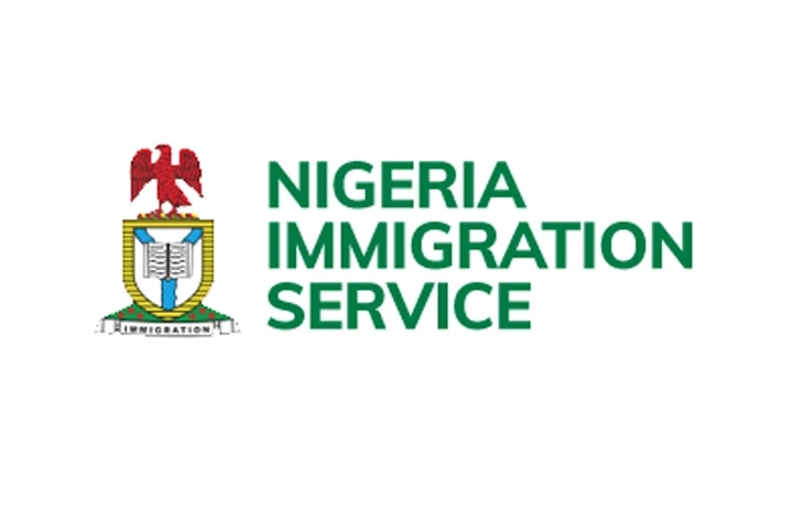 Immigration Seizes 6,216 Nigeria’s Voter, ID Cards From Foreigners