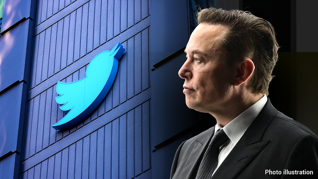 Elon Musk To Grant Amnesty To All Banned, Suspended Twitter Accounts