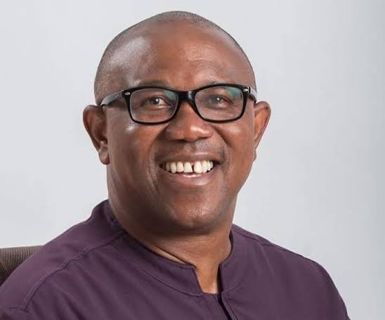 2023 Presidency: More Than 5 Governors, Other Top Leaders Working For Peter Obi – LP