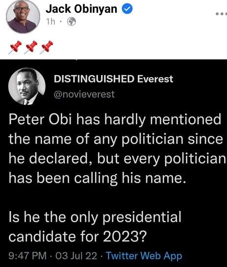 2023: Is Peter Obi The Only Presidential Candidate? - Social Media Influencer Asks