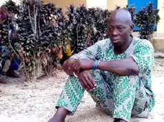 Man Caught With Human Head In Osun Bags Prison Sentence