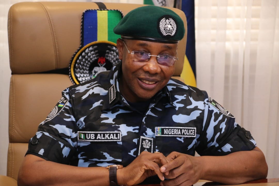 IGP Orders The Arrest And Prosecution Of Professor For Assaulting Policewoman