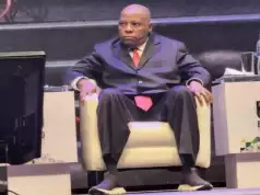 Those Attacking Shettima’s Sense Of Dressing Are Hoodlums — Fani-Kayode Those Attacking Shettima's Sense Of Dressing Are Hoodlums — Fani-Kayode