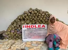 NDLEA Uncovers 442 Parcels Of Mkpuru Mmiri Hidden In Head Of Smoked Fish (VIDEO) NDLEA Uncovers 442 Parcels Of Mkpuru Mmiri Hidden In Head Of Smoked Fish (VIDEO)