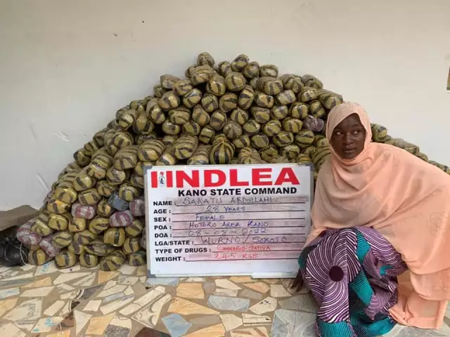 NDLEA Uncovers 442 Parcels Of Mkpuru Mmiri Hidden In Head Of Smoked Fish (VIDEO) NDLEA Uncovers 442 Parcels Of Mkpuru Mmiri Hidden In Head Of Smoked Fish (VIDEO)