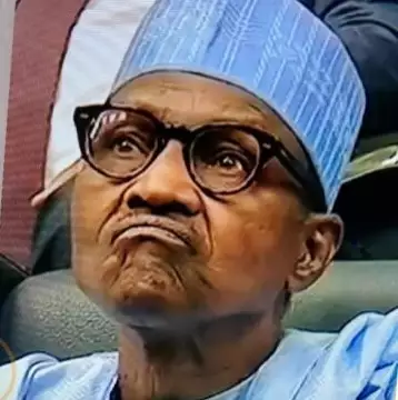 We’ve Not Received Any N1.2bn Donation From Buhari, Says Niger Republic