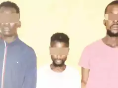 Police Nab Three Suspected Cultists Who Shot, Killed Rival In Lagos Restaurant