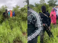 Hard Times For Kaduna Bandits As Troops Dislodge Camp, Rescue Six Hostages