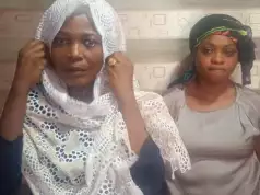 Abuja Professor Who Assaulted Police Orderly Lands In Prison