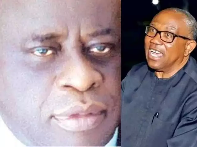 Peter Obi Would Nọr Make Any Serious Impact, His OBIdients Are Not In The North - Chief Nnaji