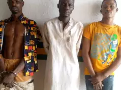 Police Nab Suspected Serial Killers, Cultists In Ogun