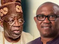 Edugate: Don’t Spare Anybody Involved, Obi Tells Tinubu PEPT: Peter Obi Not A RegistereaEdugate: Don’t Spare Anybody Involved, Obi Tells Tinubud Member Of Labour Party - President Tinubu's Lawyers