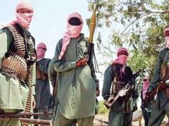 Worshippers Abducted From Zamfara Mosque Resume Work At Bandits’ Farmlands