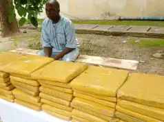 Indian Hemp Dealer Arrested In Katsina