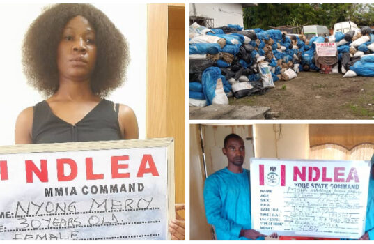 Pregnant Woman, Female Undergraduate, 26 Others Nabbed For Drug Offences