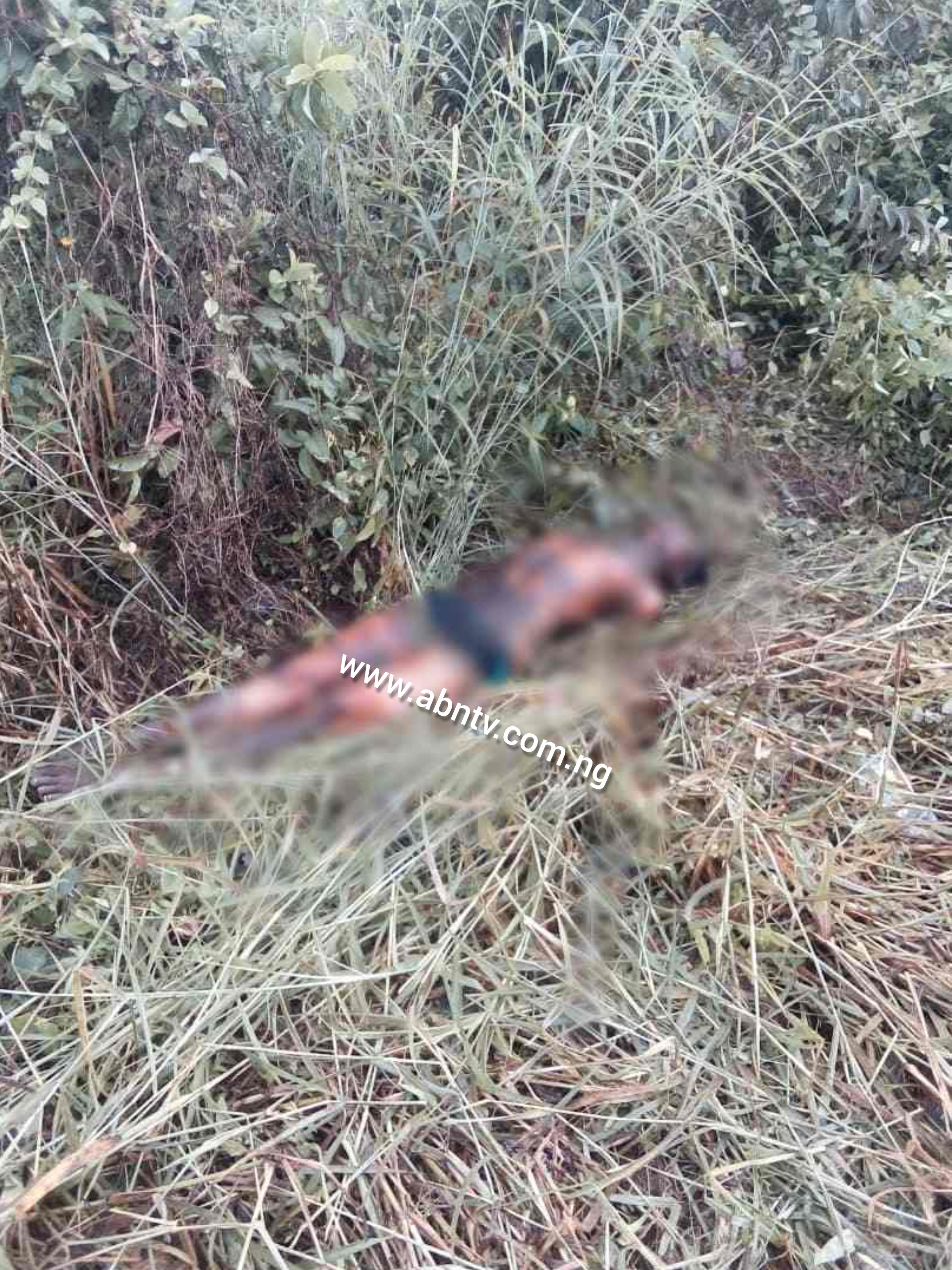 Lifeless Body With Marks Of Burns Recovered In Umuahia (Photo)
