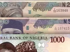 CBN To Redesign N200, N500 And N1,000 Notes To Control Circulation Family Rejects Old Naira Notes As Bride Price In Niger