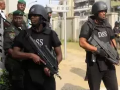 DSS Confirms Looting Of Warehouses, Food Trucks In North-East As Hardship Escalates