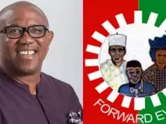 Nasarawa LP Starts Door-To-Door Campaign For Peter Obi Nasarawa LP Starts Door-To-Door Campaign For Peter Obi