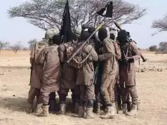 Wives Of Repentant Boko Haram Members Give Birth To 263 Babies – Borno Government Wives Of Repentant Boko Haram Members Give Birth To 263 Babies – Borno Government