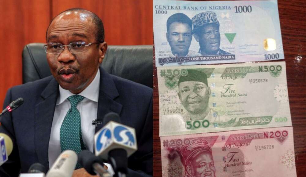 FG Unveils Redesigned Naira Notes