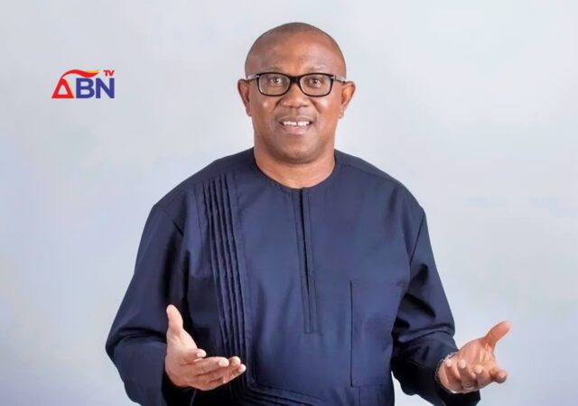 Political Positions Occupied By Those Not Qualified — Peter Obi