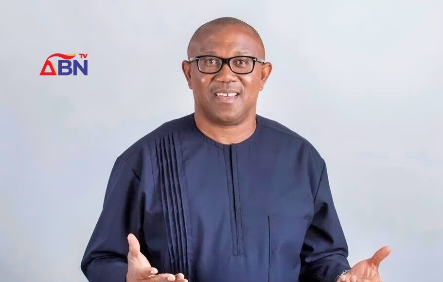 Political Positions Occupied By Those Not Qualified — Peter Obi