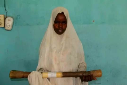 Woman, 20 Kills Co-Wife In Bauchi With Pestle