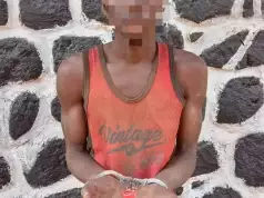 Police Nab Man Over Illegal Possession Of Firearm