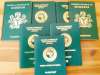 Immigration Service Processes 9.31m Passports In Seven Years