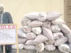 NDLEA Arrests Blind Man, Leper With Drugs