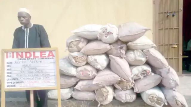 NDLEA Arrests Blind Man, Leper With Drugs