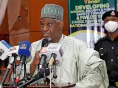 Hundreds Of Nigerians Renounce Citizenship – FG