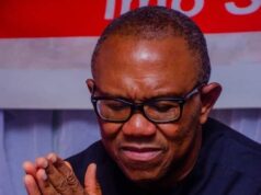 Pandora Papers: Law Firm Writes CCB, Demands Peter Obi’s Prosecution Pandora Papers: Law Firm Writes CCB, Demands Peter Obi’s Prosecution