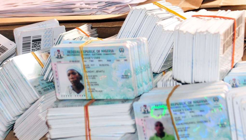 Thugs Scatter PVC Collection In Edo